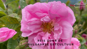Reis door de Bulgaarse eetcultuur blog Roux Communicatie